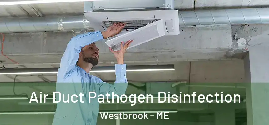  Air Duct Pathogen Disinfection Westbrook - ME