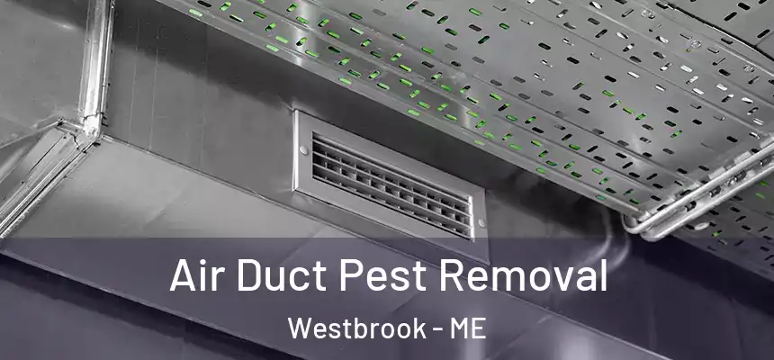  Air Duct Pest Removal Westbrook - ME