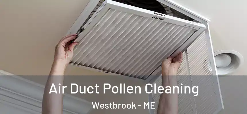  Air Duct Pollen Cleaning Westbrook - ME