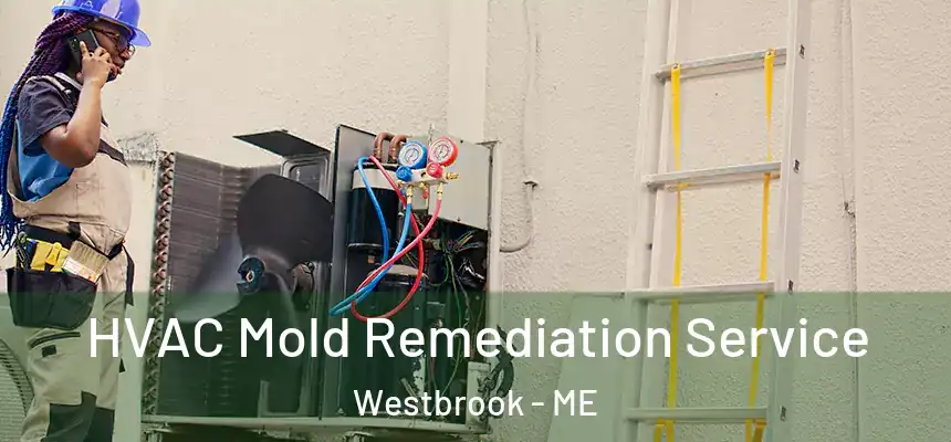  HVAC Mold Remediation Service Westbrook - ME