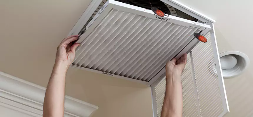 Our Insect Removal from Air Ducts Services in Westbrook, ME