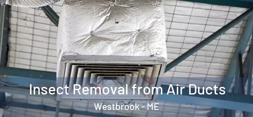  Insect Removal from Air Ducts Westbrook - ME