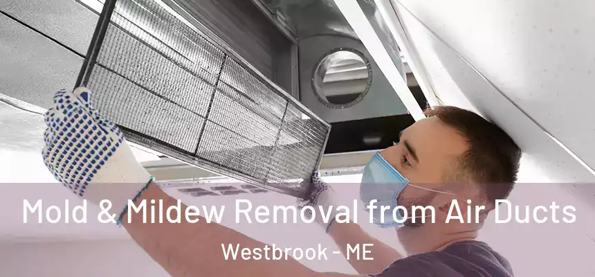  Mold & Mildew Removal from Air Ducts Westbrook - ME