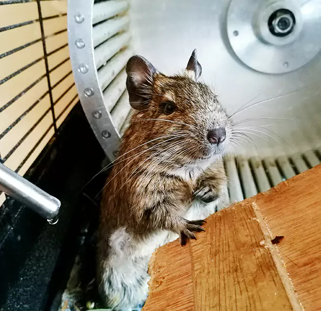 Why Homeowners & Businesses Trust Us Westbrook, ME